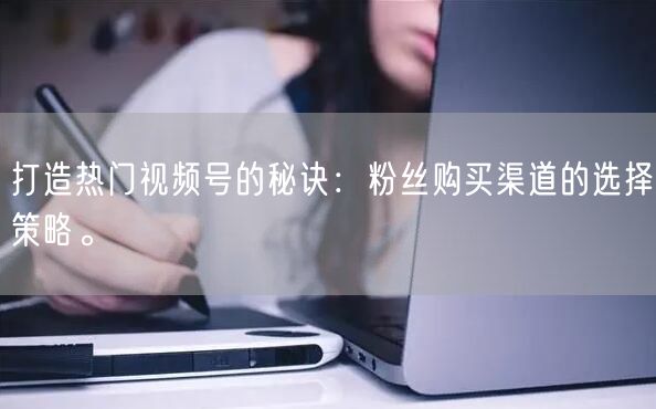 打造热门视频号的秘诀:粉丝购买渠道的选择策略。