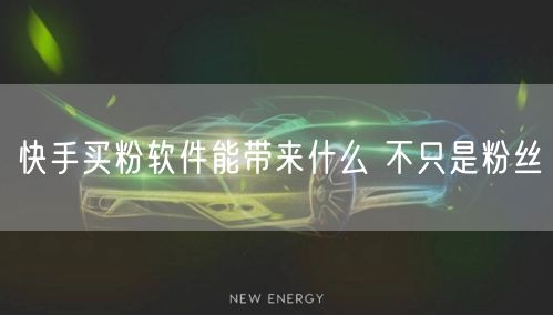 快手买粉软件能带来什么 不只是粉丝