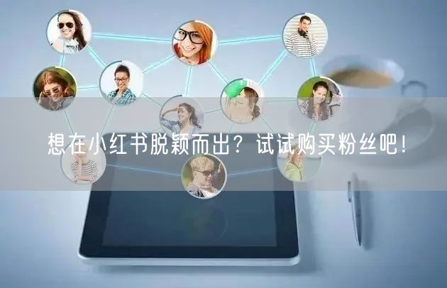 想在小红书脱颖而出?试试购买粉丝吧!