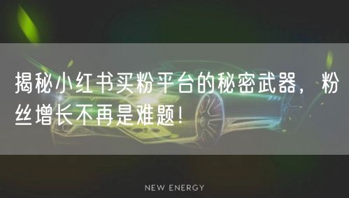 揭秘小红书买粉平台的秘密武器,粉丝增长不再是难题!
