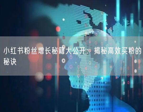 小红书粉丝增长秘籍大公开:揭秘高效买粉的秘诀