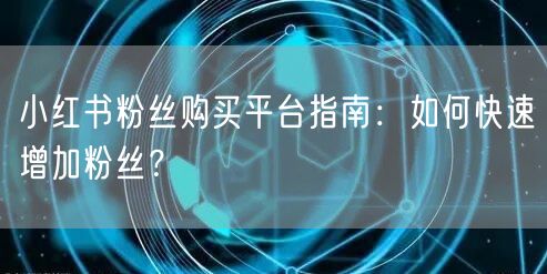 小红书粉丝购买平台指南:如何快速增加粉丝?